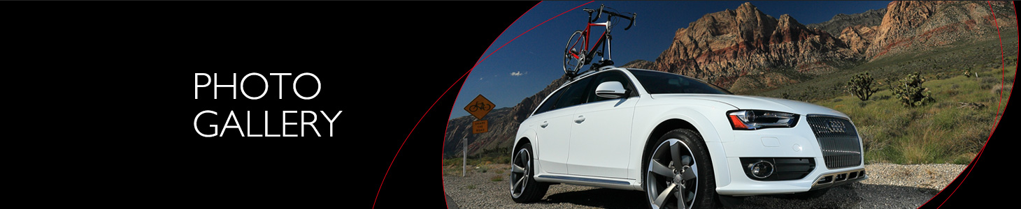 フォトギャラリー